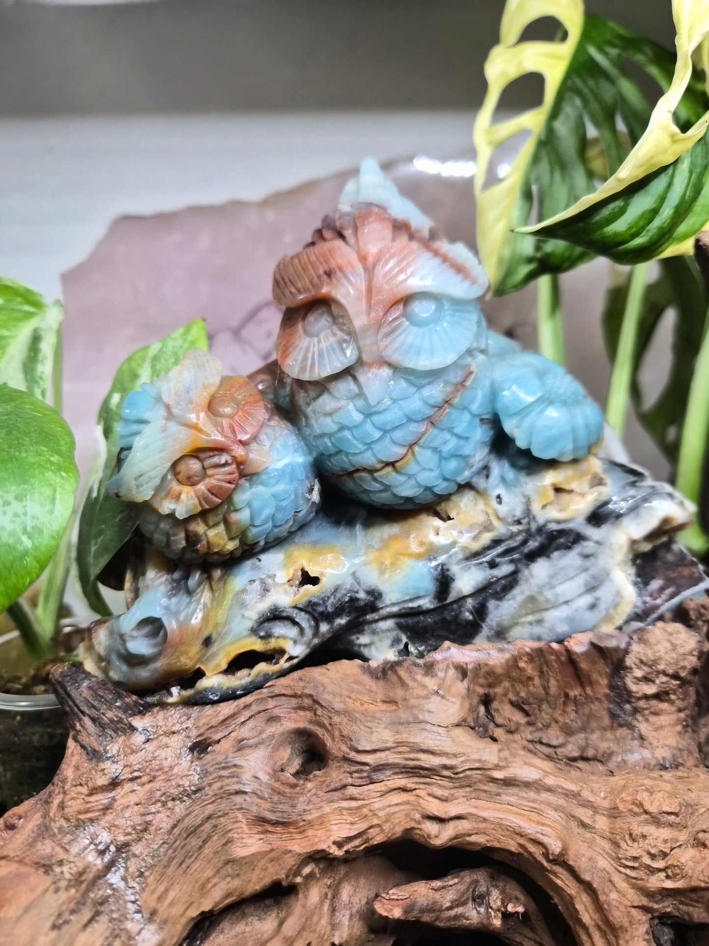 Hiboux en Calcite des Caraïbes