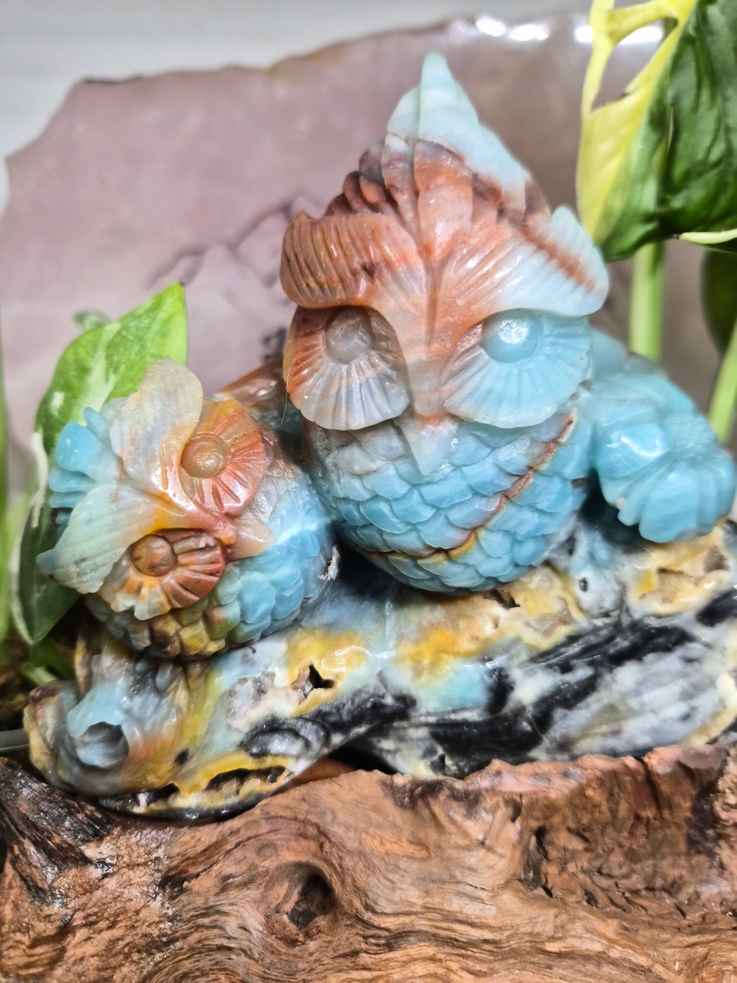 Hiboux en Calcite des Caraïbes
