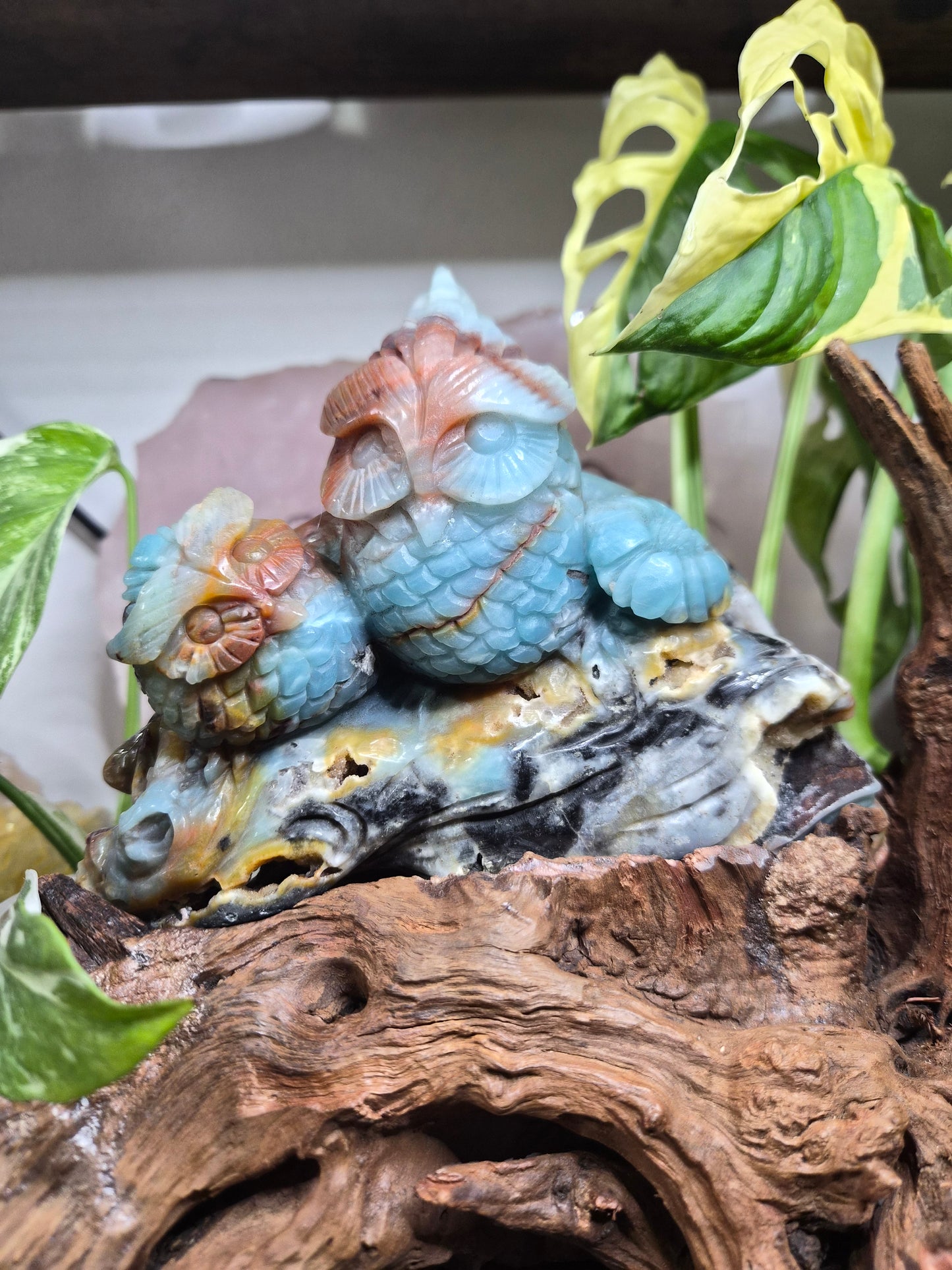 Hiboux en Calcite des Caraïbes
