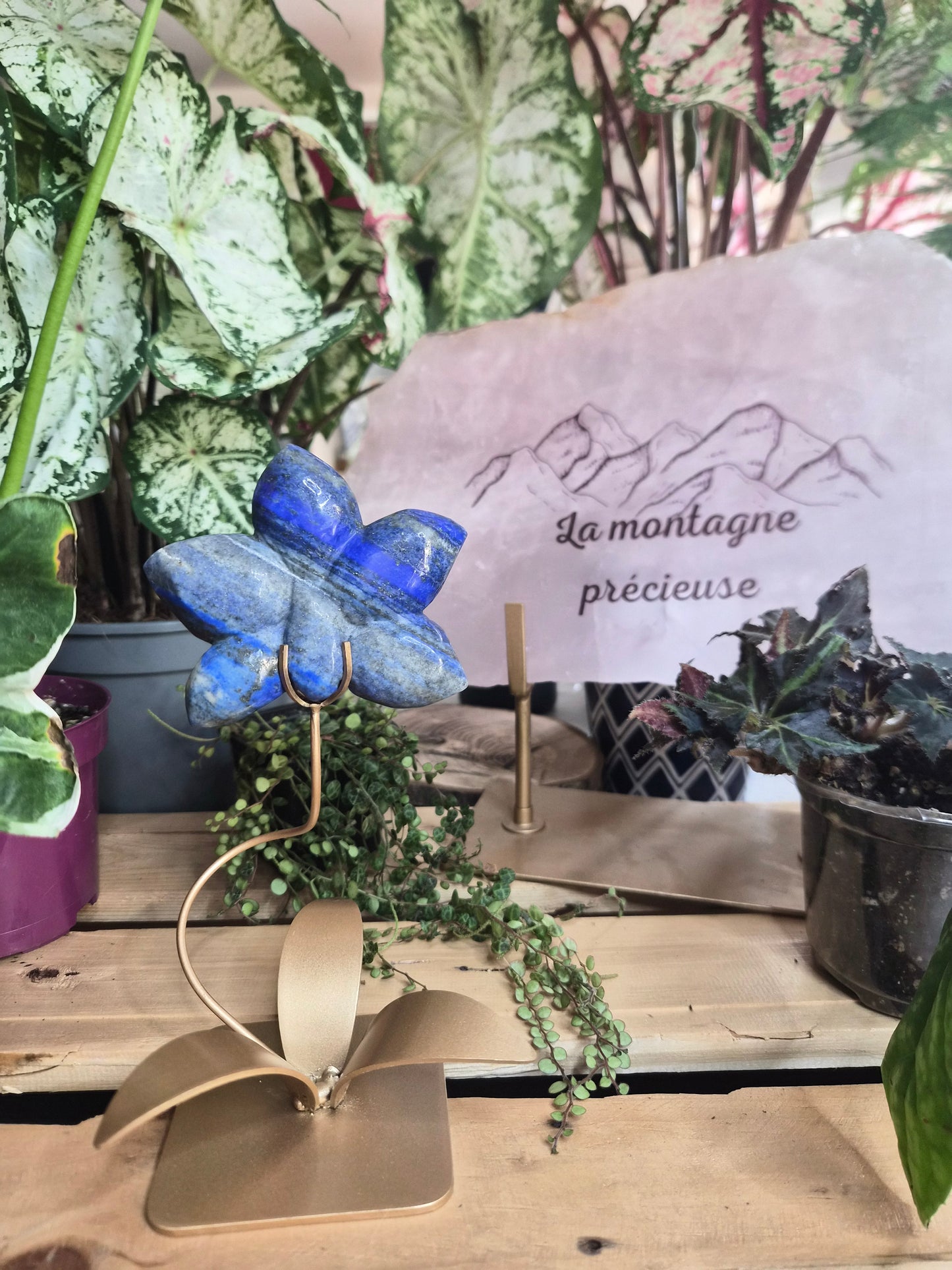 Orchidée en Lapis-lazuli