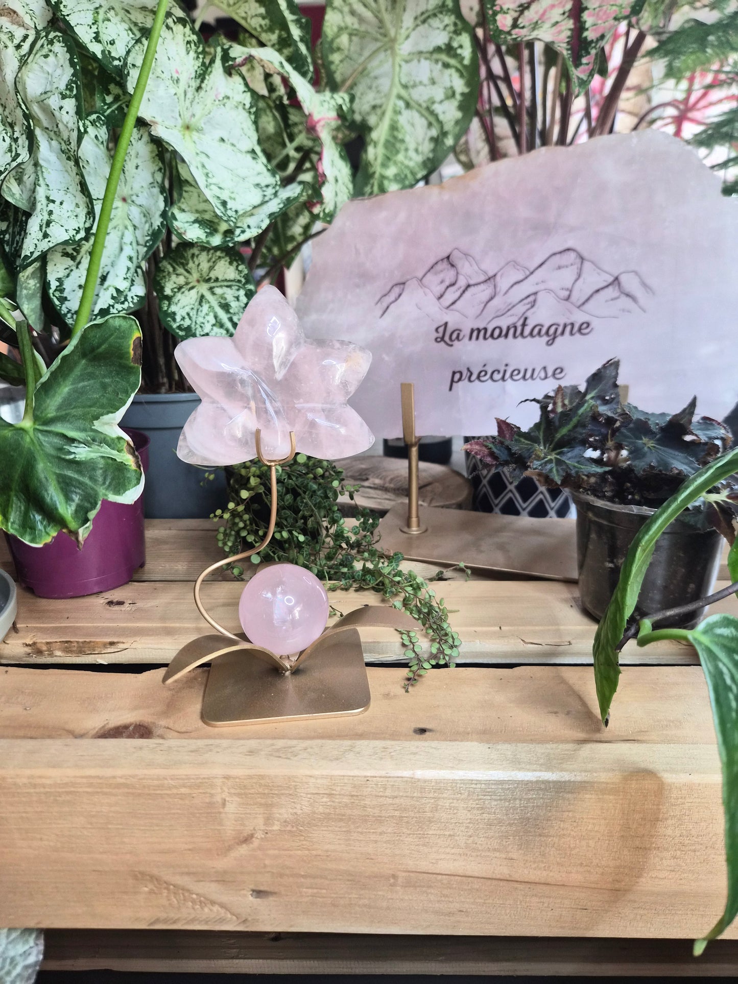 Orchidée en Quartz rose avec sa sphère étoilé
