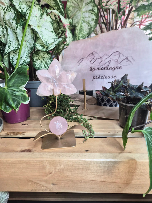 Orchidée en Quartz rose avec sa sphère étoilé