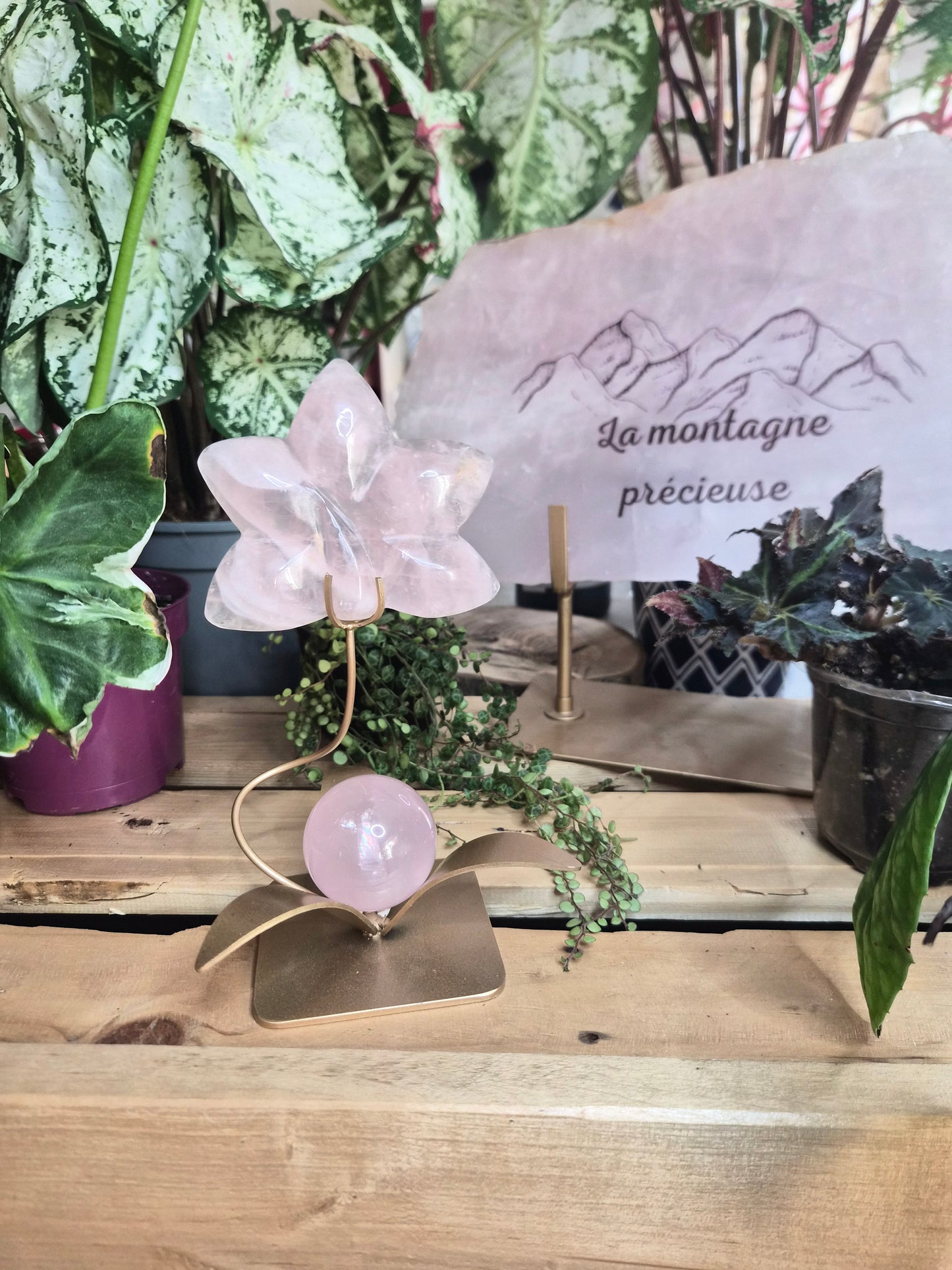 Orchidée en Quartz rose avec sa sphère étoilé
