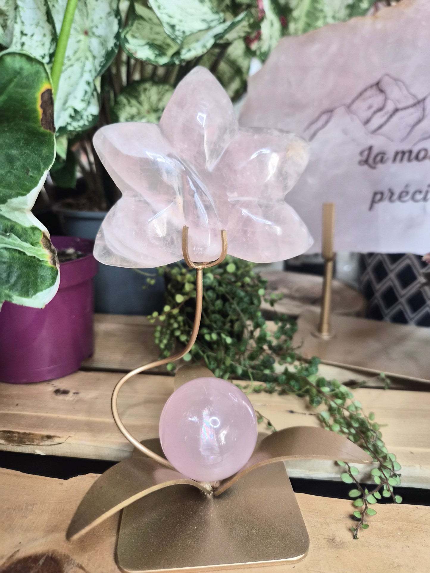 Orchidée en Quartz rose avec sa sphère étoilé