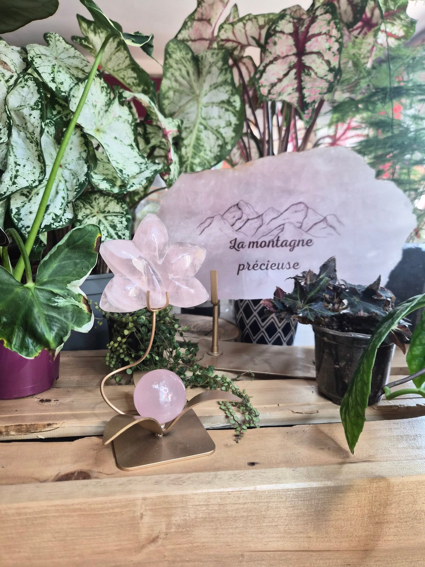 Orchidée en Quartz rose avec sa sphère étoilé