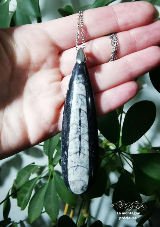 Pendentif en Orthoceras