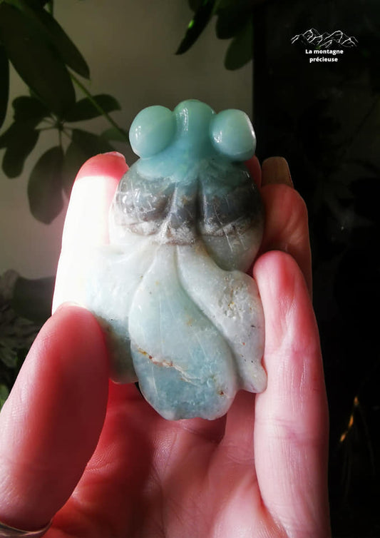 Poisson en Calcite des Caraïbes