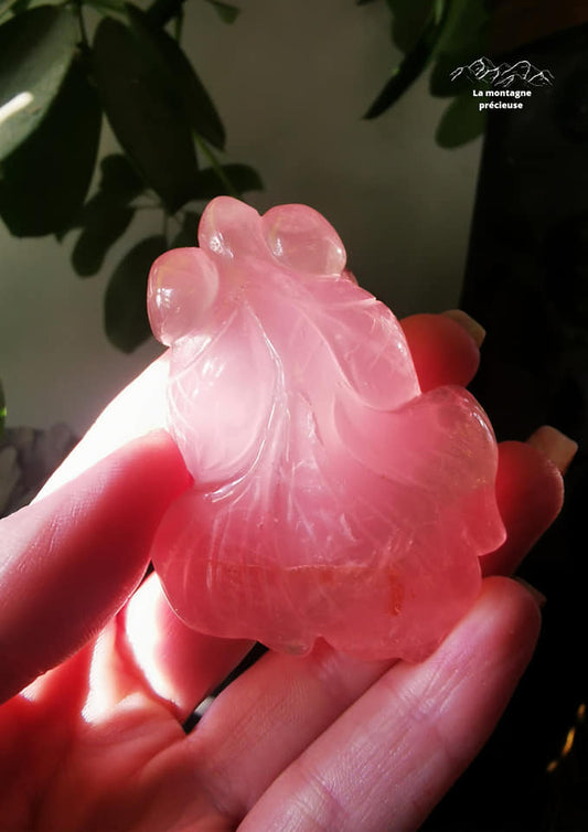 Poisson en Quartz rose
