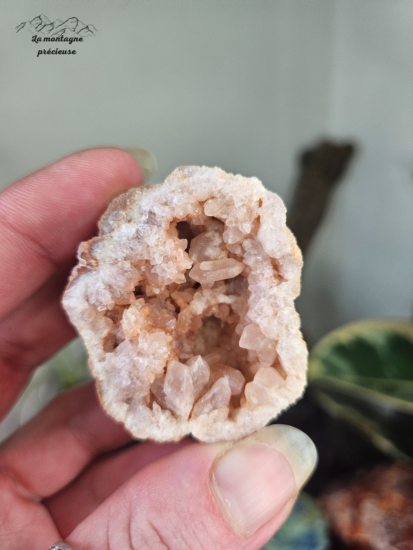 Géode en Améthyste rose