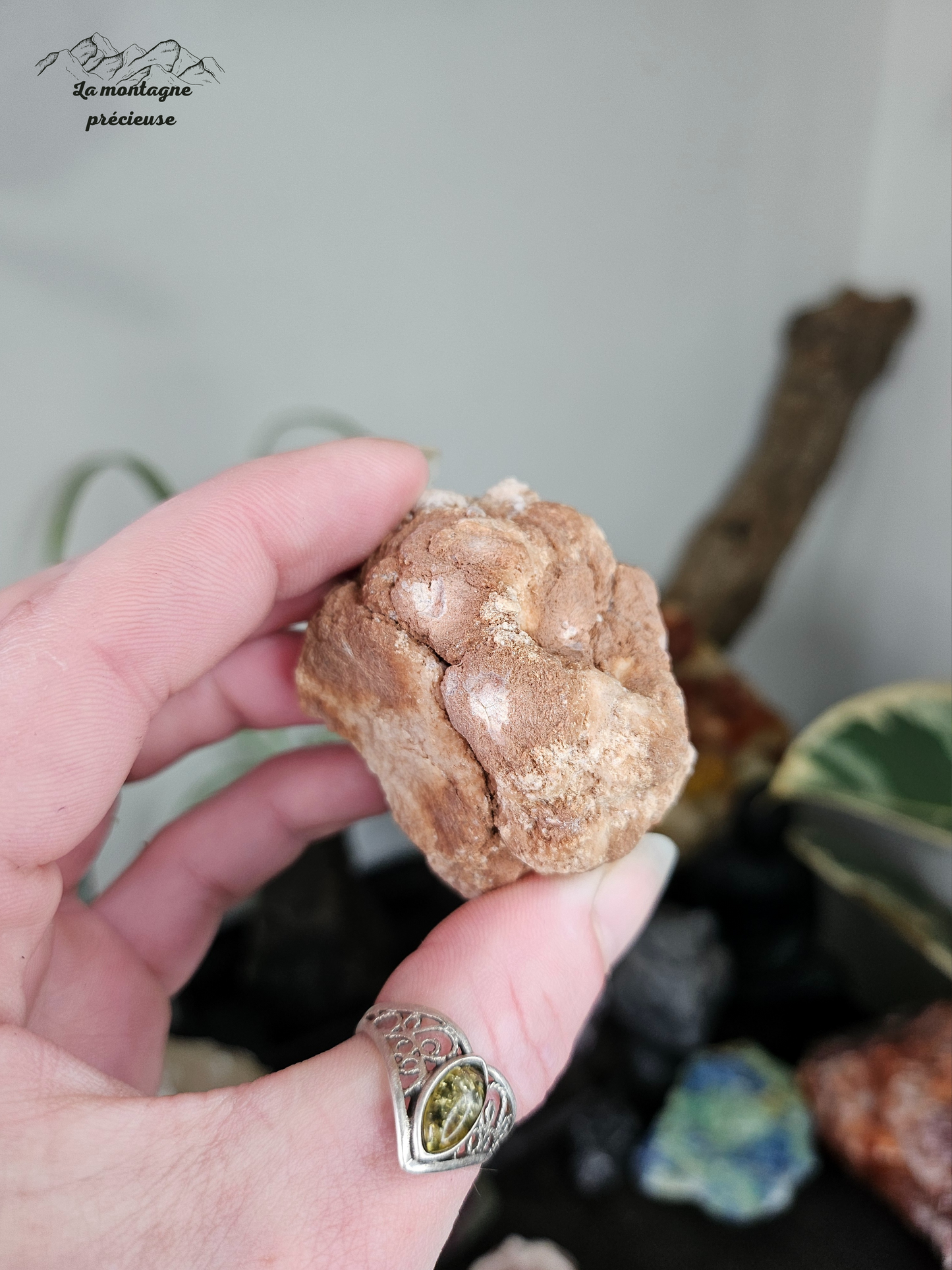 Géode en Améthyste rose