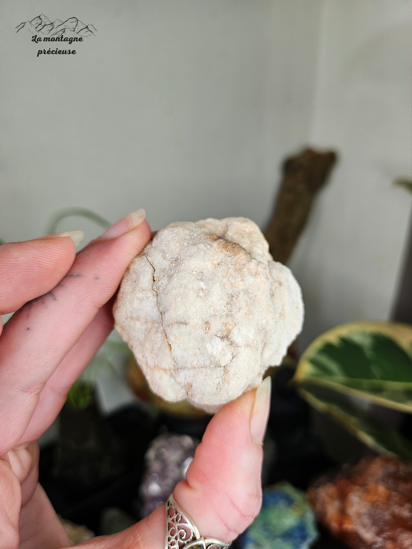 Géode en Améthyste rose