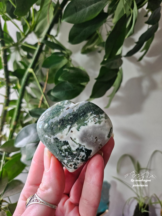 Cœur en agate mousse