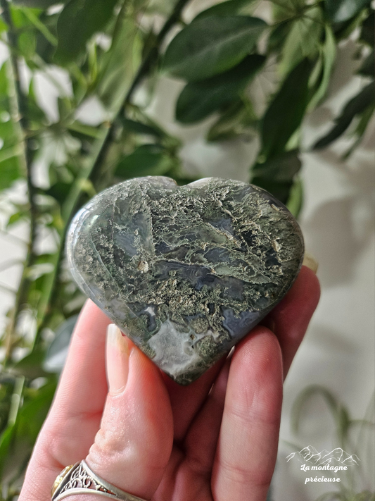 Cœur en agate mousse
