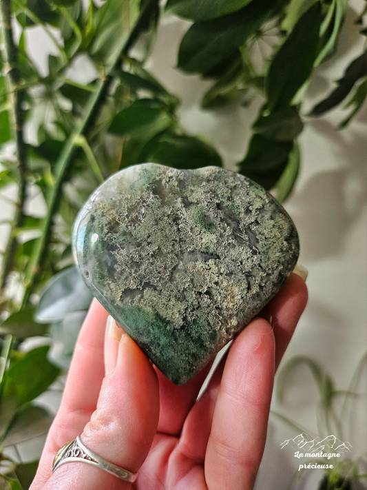 Cœur en agate mousse