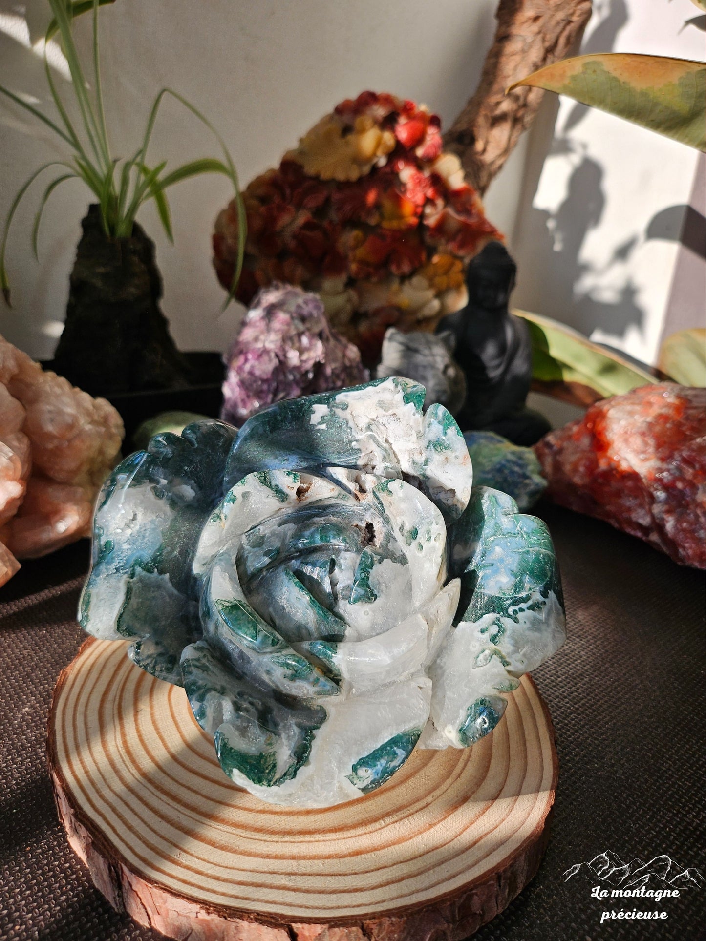 Rose en agate mousse