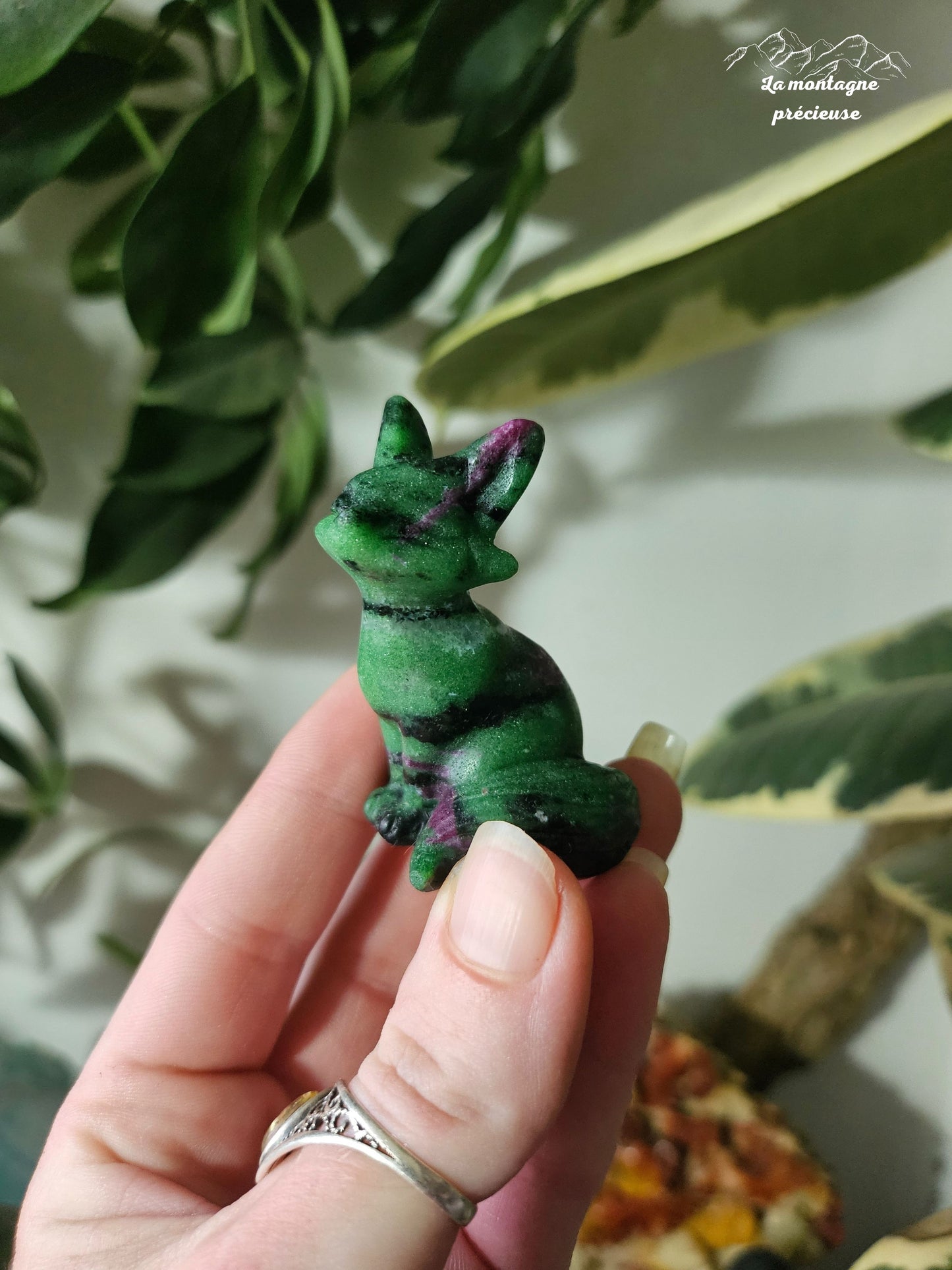 Renard en Rubis zoïsite