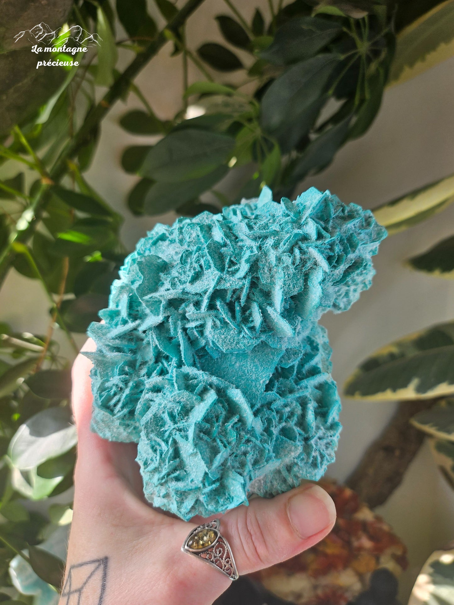 Antlerite sur calcite