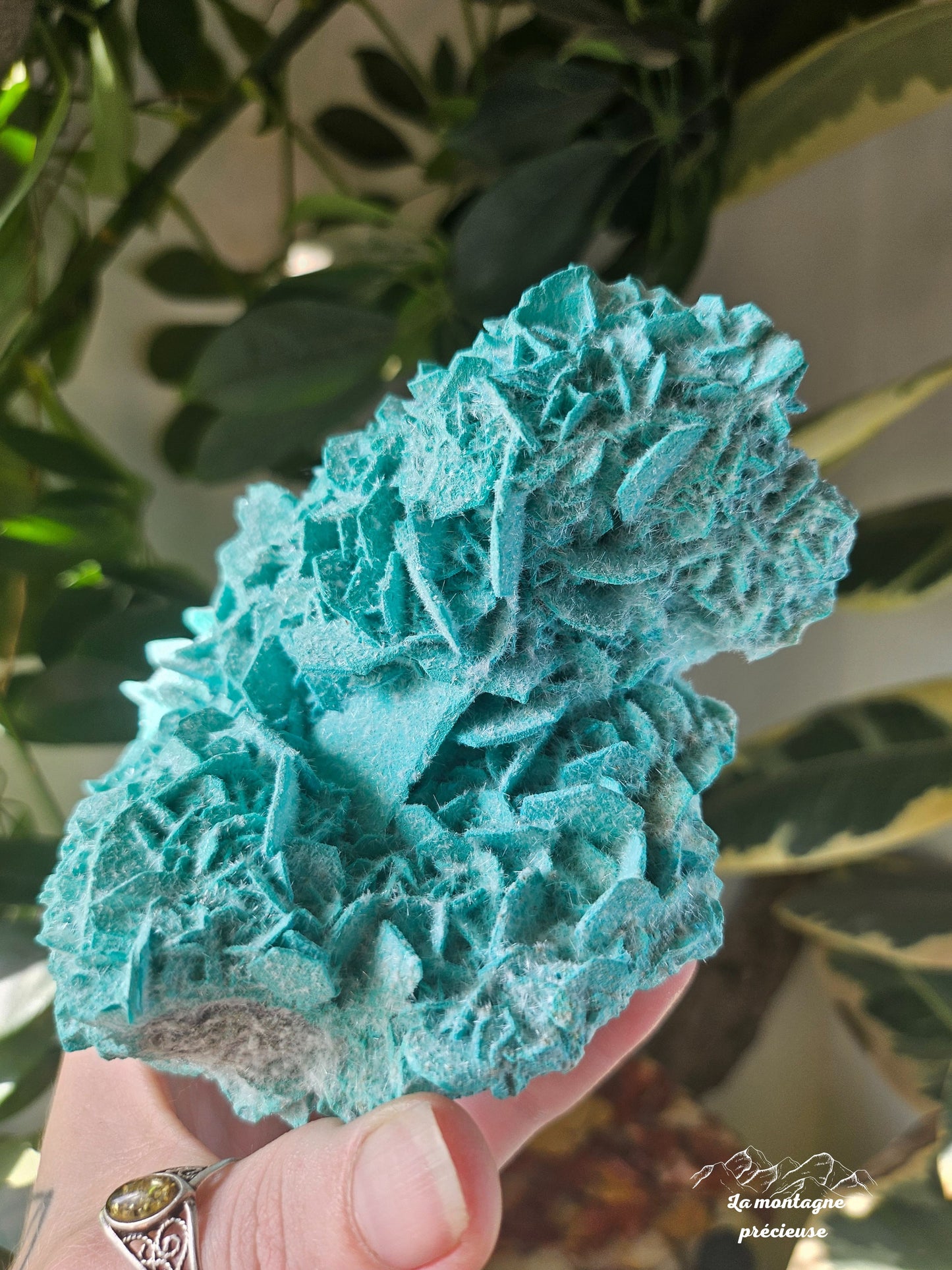 Antlerite sur calcite