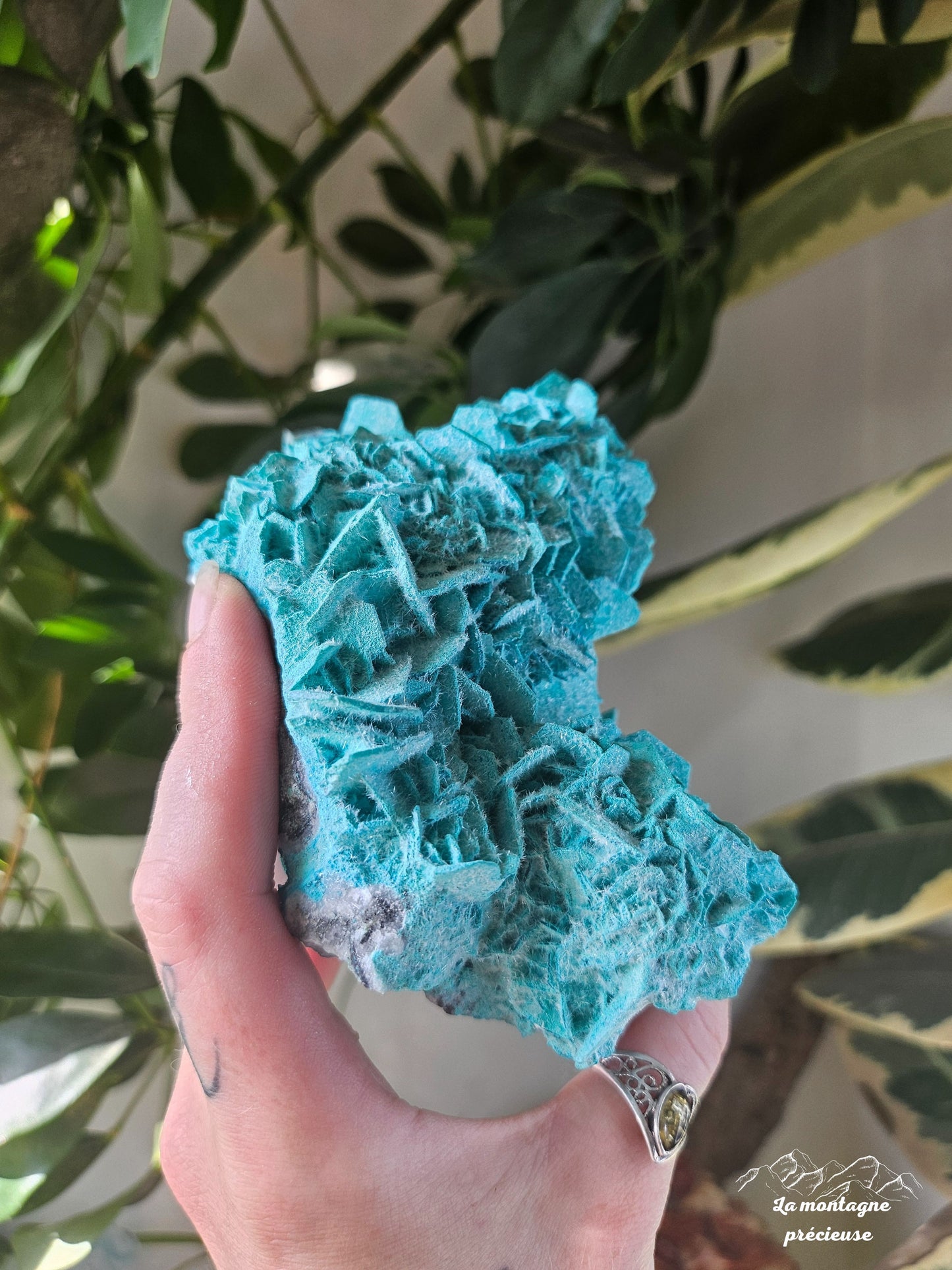 Antlerite sur calcite