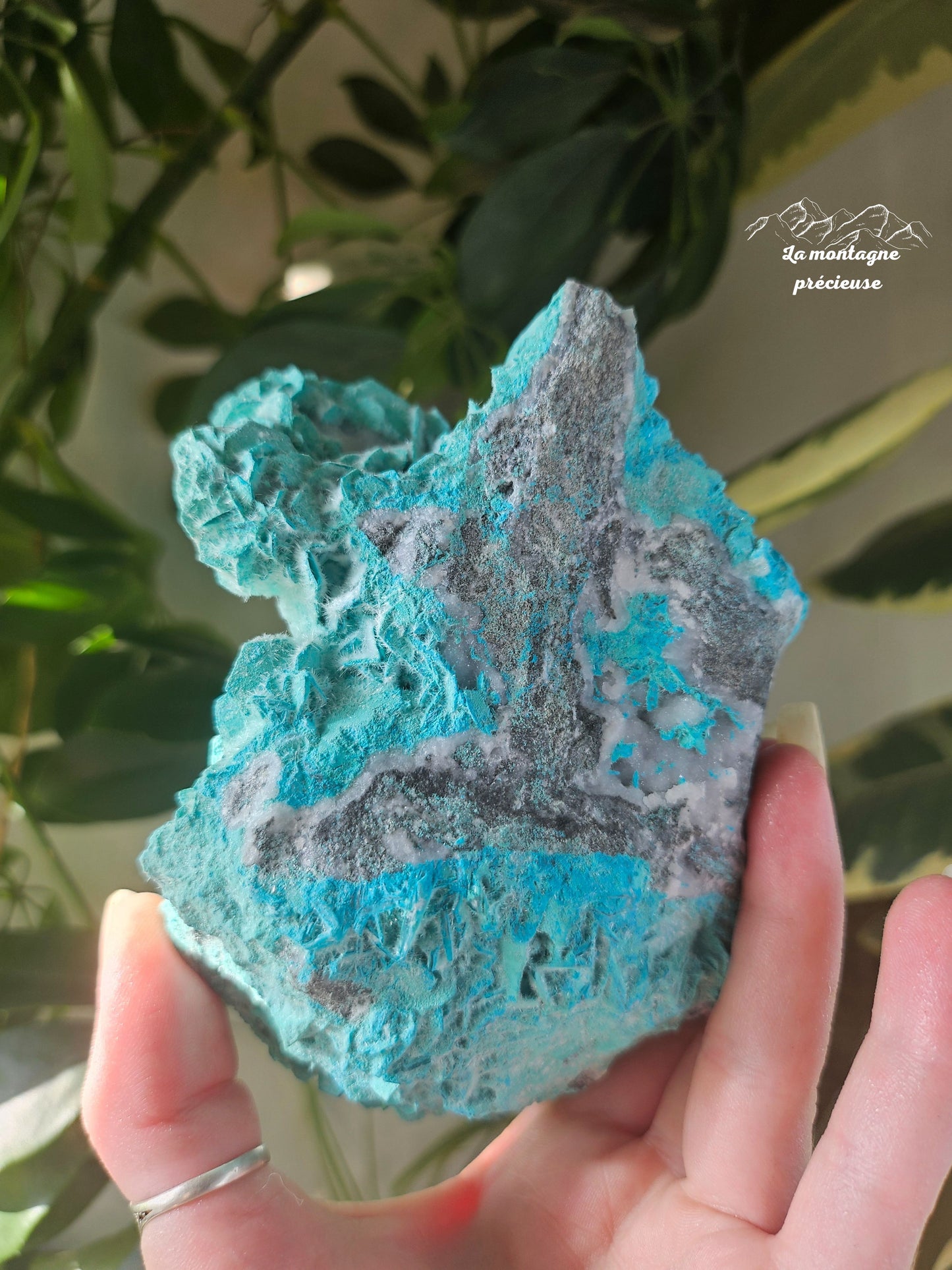 Antlerite sur calcite