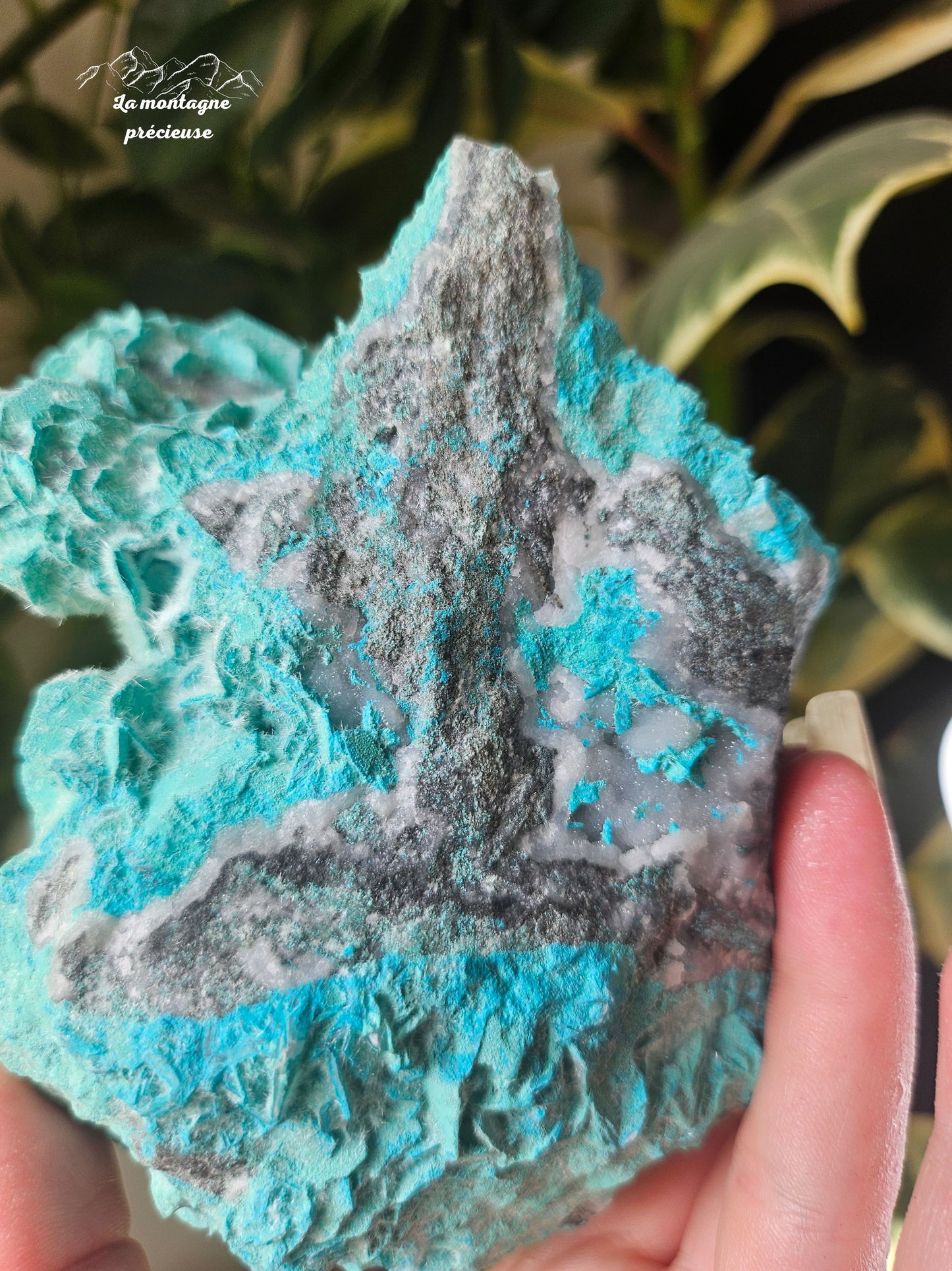 Antlerite sur calcite