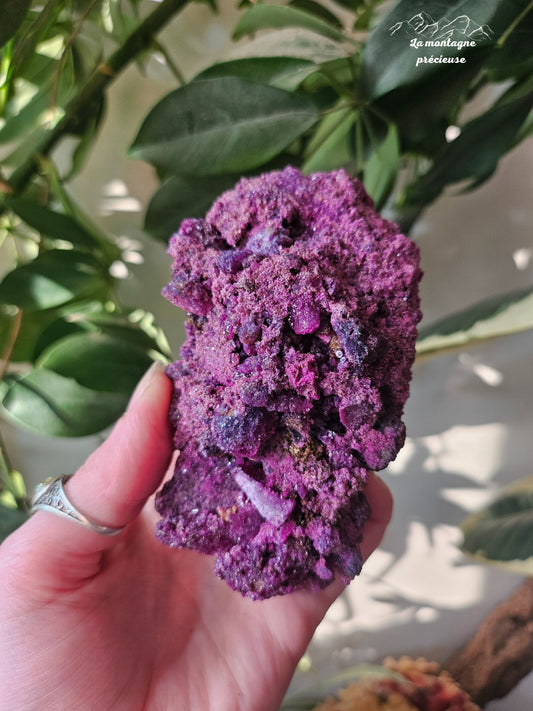 Rubis kyanite brute