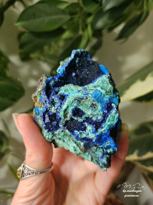 Azurite Malachite chrysocolle brute