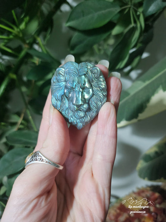 Tête de lion en labradorite