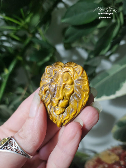 Tête de lion en œil de tigre