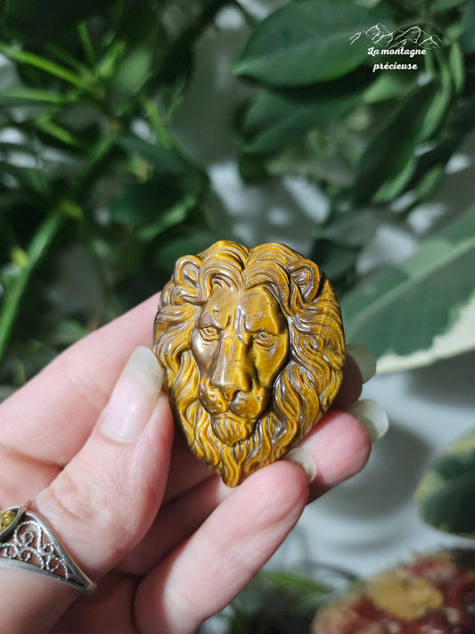 Tête de lion en œil de tigre