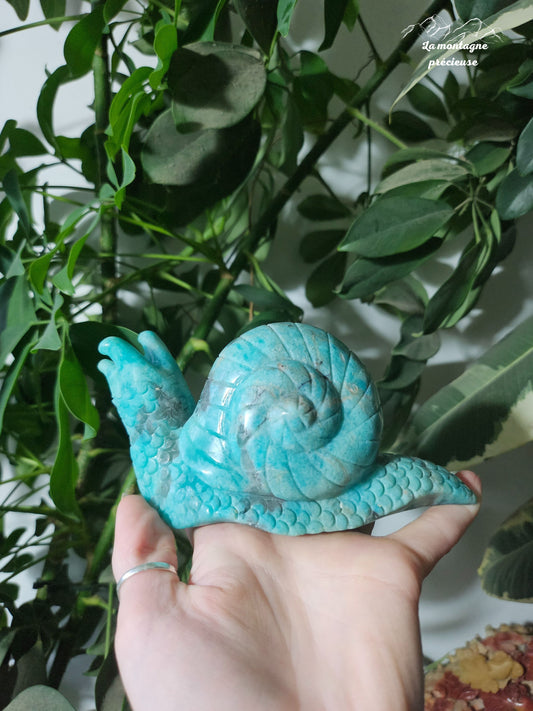 Escargot en amazonite