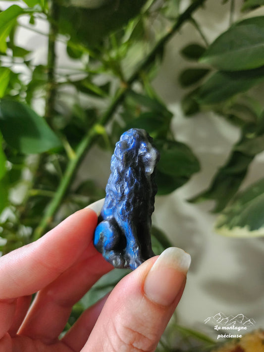 Petit lion en labradorite