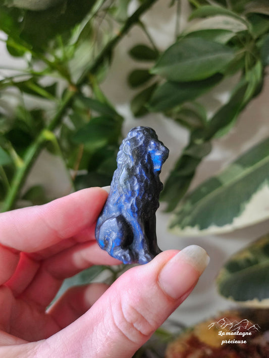 Petit lion en labradorite