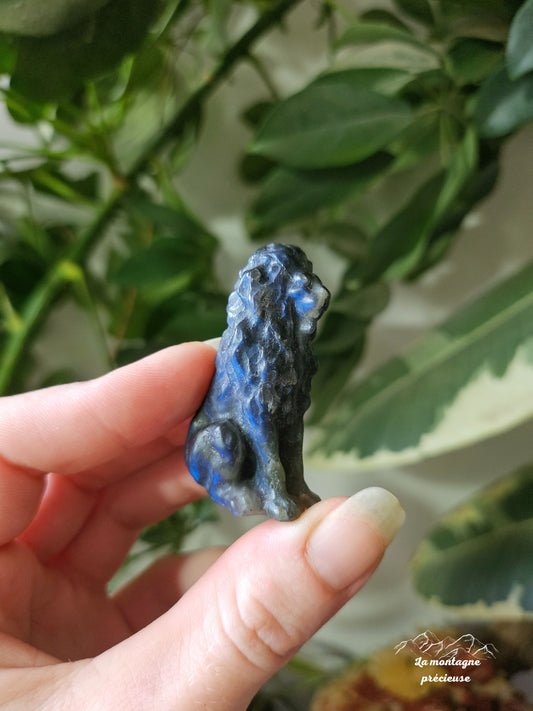 Petit lion en labradorite