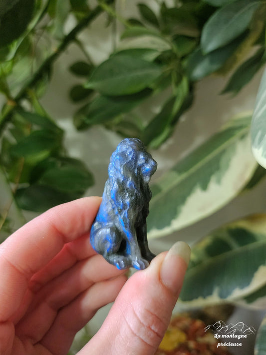 Petit lion en labradorite