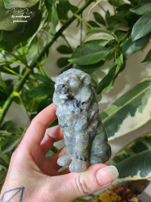 Lion en labradorite