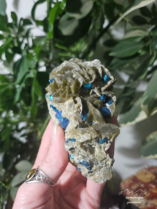 Sidérite avec inclusion de bornite