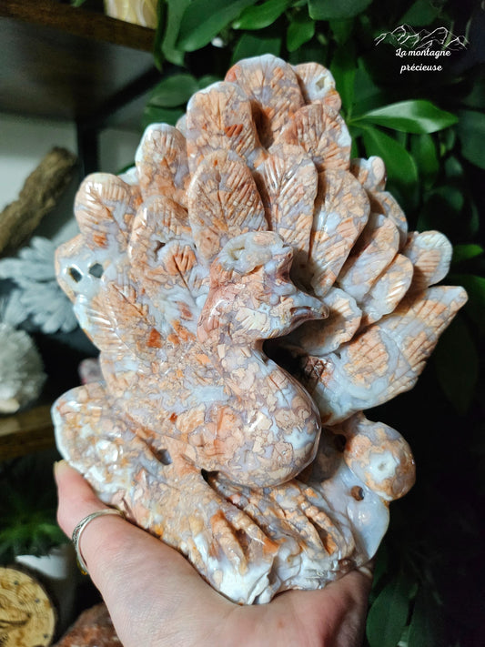 Paon en agate fleur