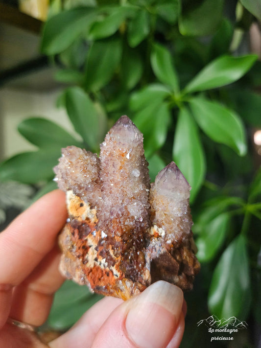 Spirit Quartz ou Améthyste cactus