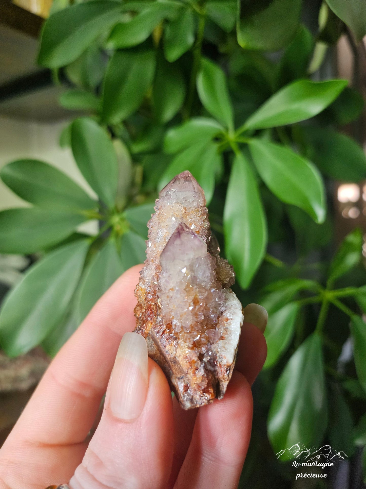Spirit Quartz ou Améthyste cactus