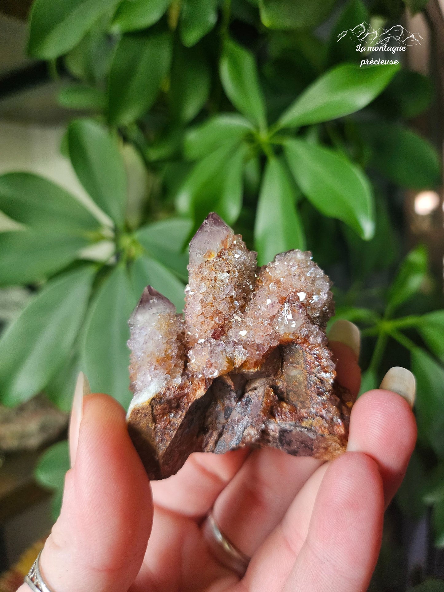 Spirit Quartz ou Améthyste cactus