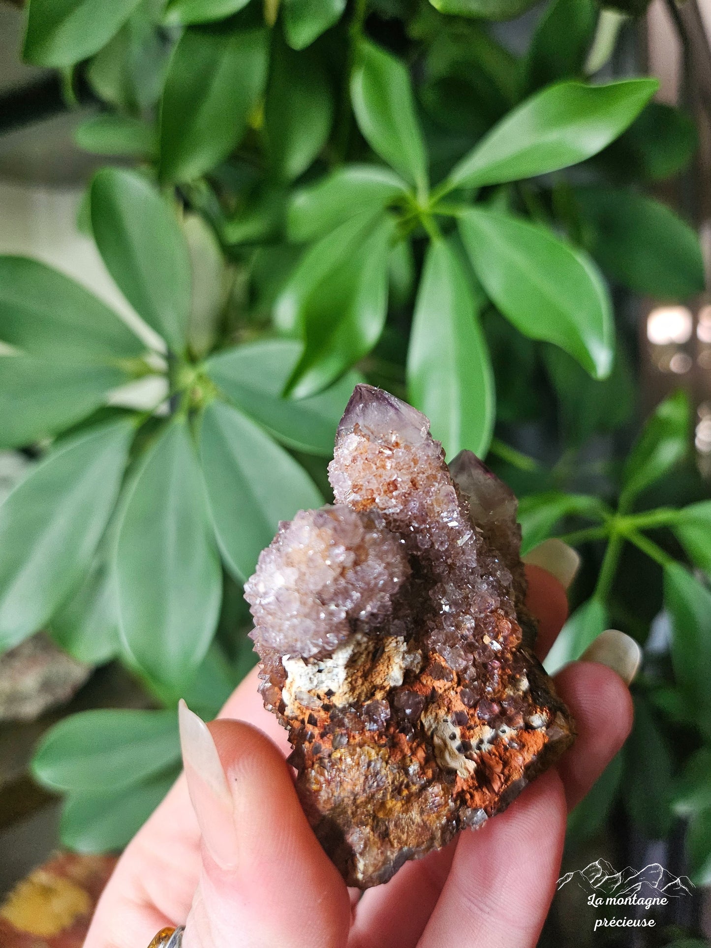 Spirit Quartz ou Améthyste cactus