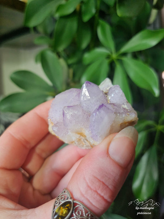 Spirit quartz ou Améthyste cactus