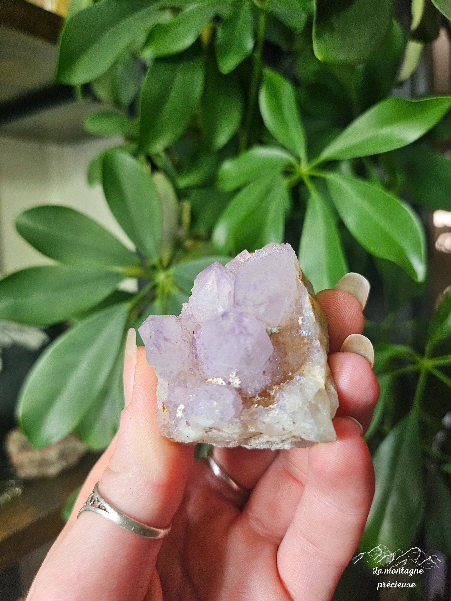 Spirit quartz ou Améthyste cactus