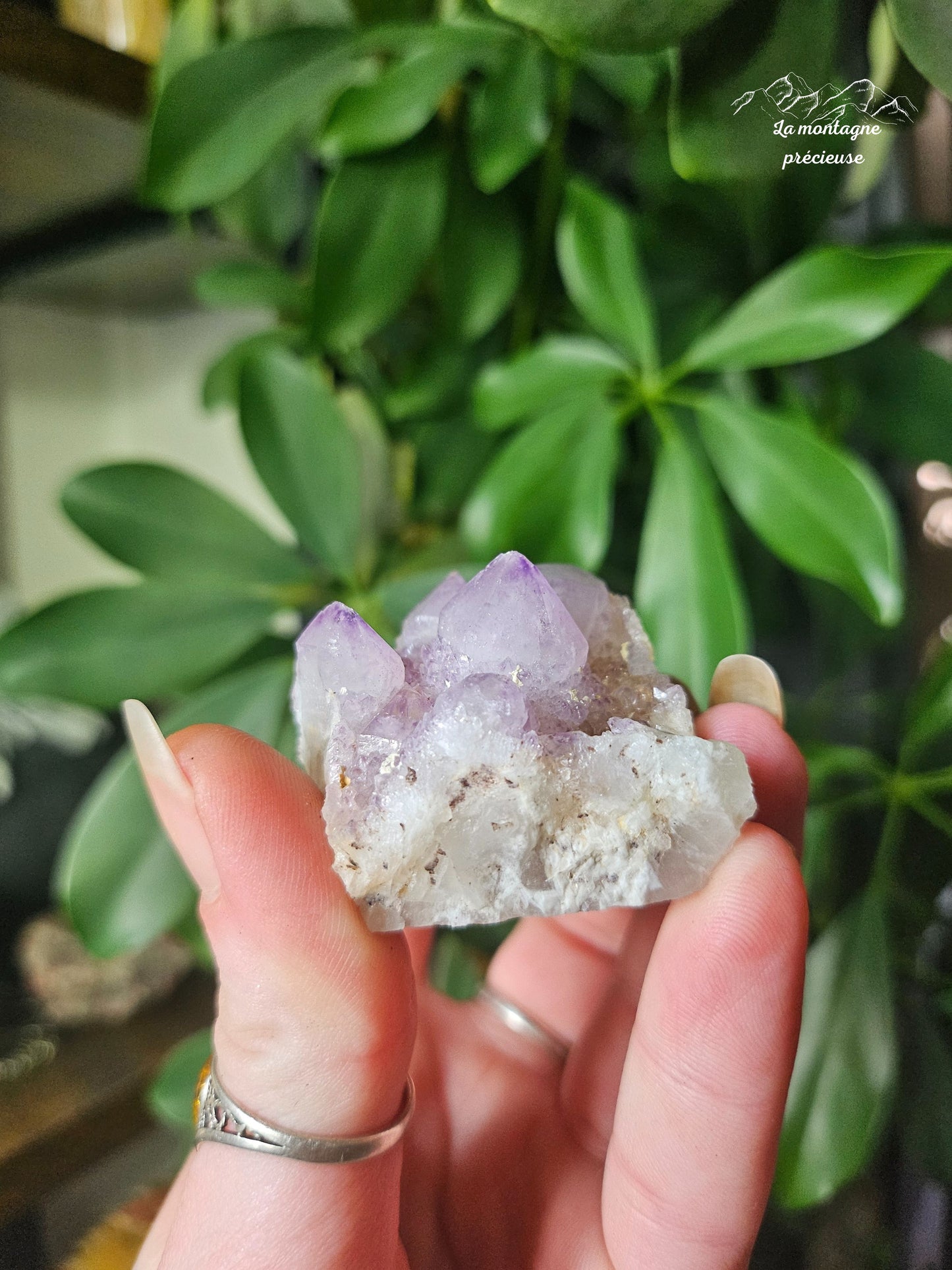 Spirit quartz ou Améthyste cactus