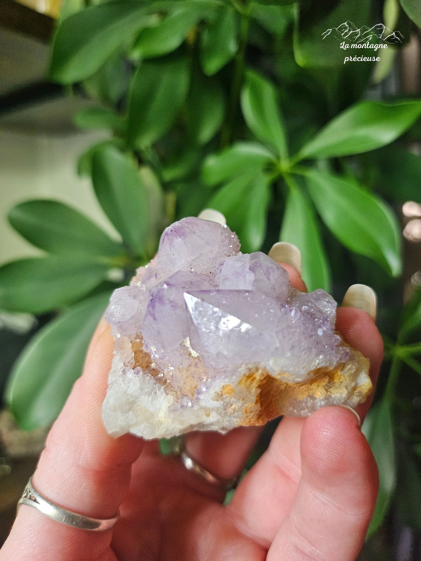 Spirit quartz ou Améthyste cactus