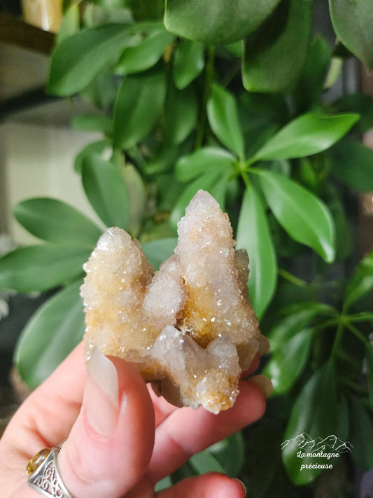 Spirit quartz ou Améthyste cactus