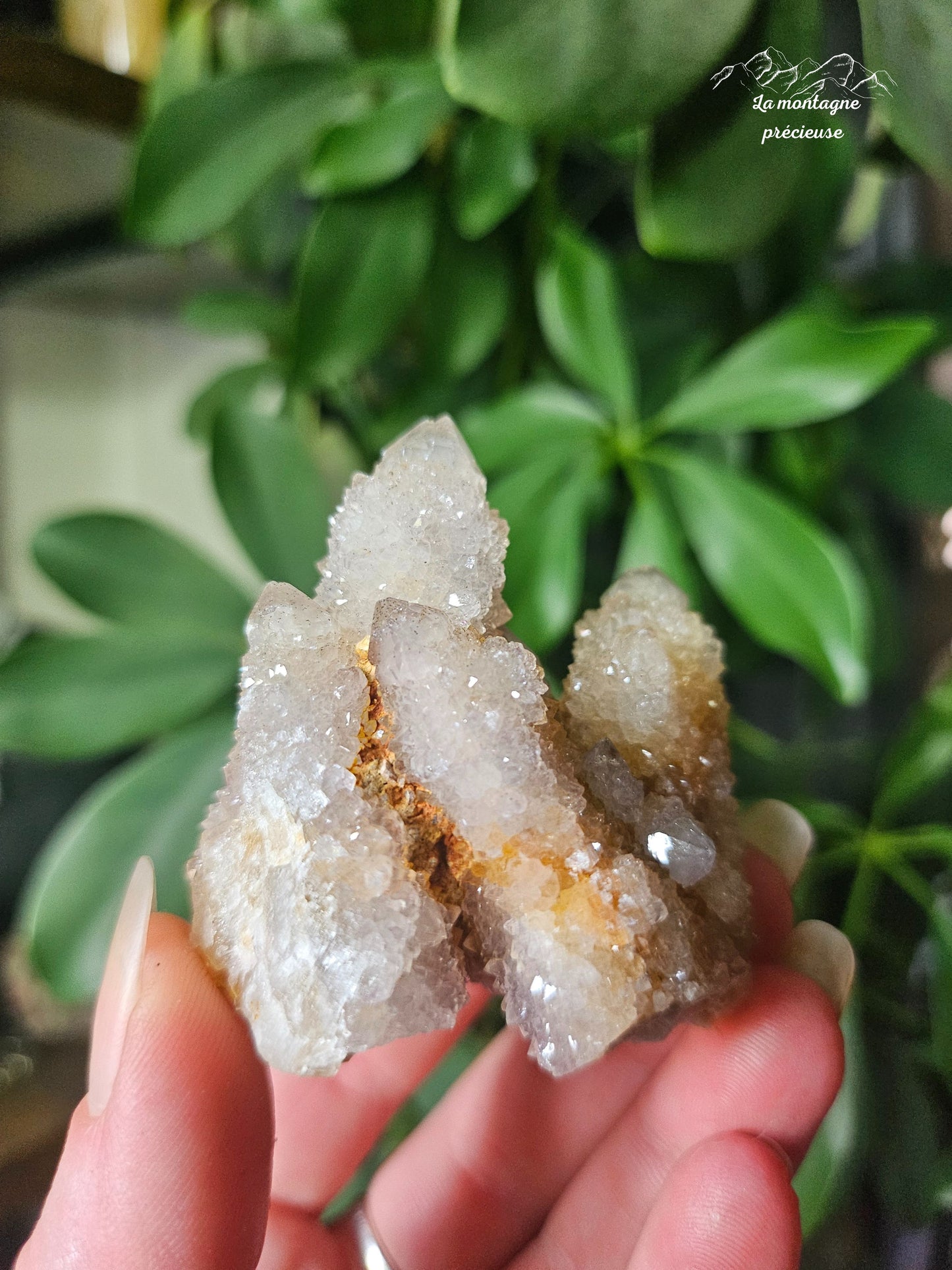 Spirit quartz ou Améthyste cactus