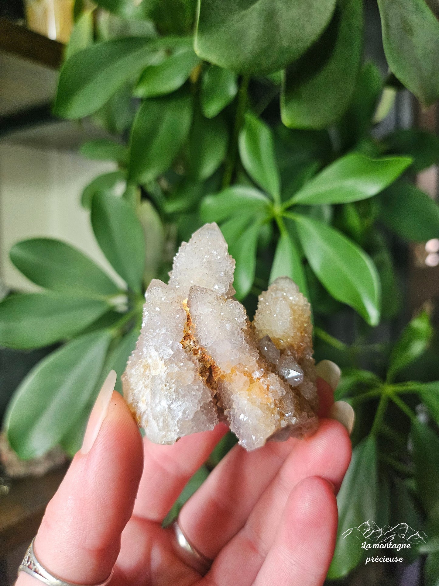 Spirit quartz ou Améthyste cactus