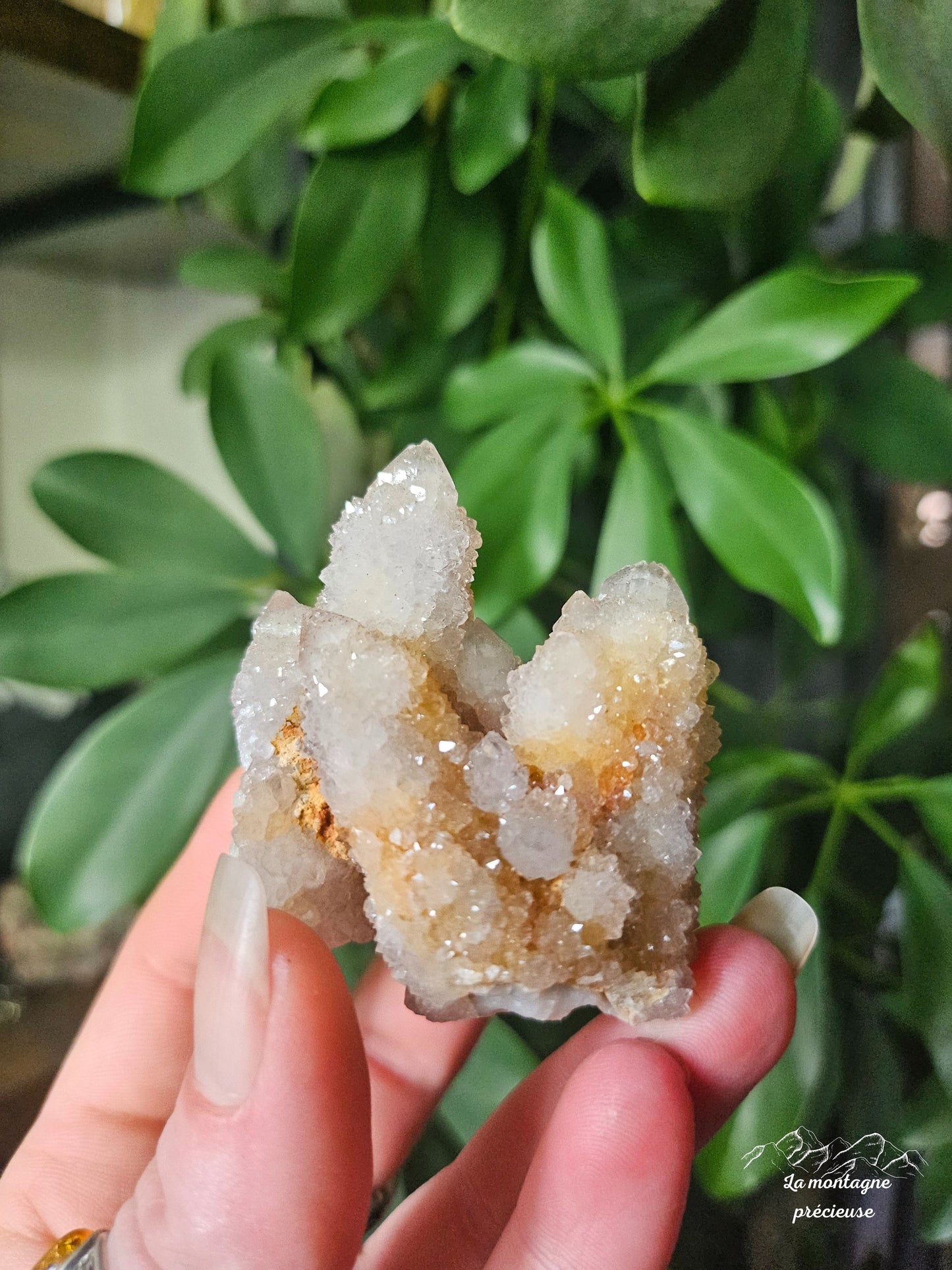 Spirit quartz ou Améthyste cactus